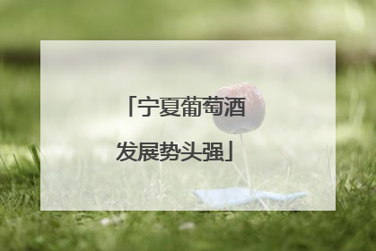 宁夏葡萄酒发展势头强