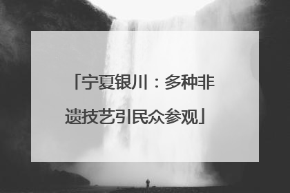 宁夏银川：多种非遗技艺引民众参观