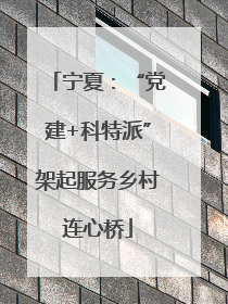 宁夏：“党建+科特派”架起服务乡村连心桥