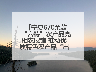 宁夏670余款“六特”农产品亮相农展馆 推动优质特色农产品“出宁进京”