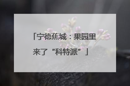 宁德蕉城：果园里来了“科特派”