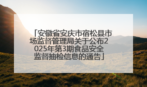 安徽省安庆市宿松县市场监督管理局关于公布2025年第3期食品安全监督抽检信息的通告