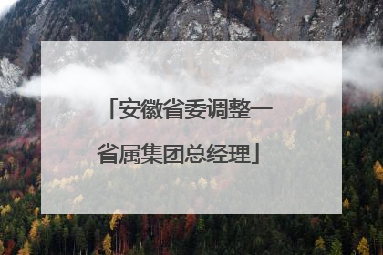 安徽省委调整一省属集团总经理