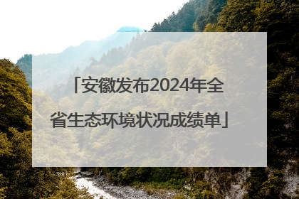 安徽发布2024年全省生态环境状况成绩单