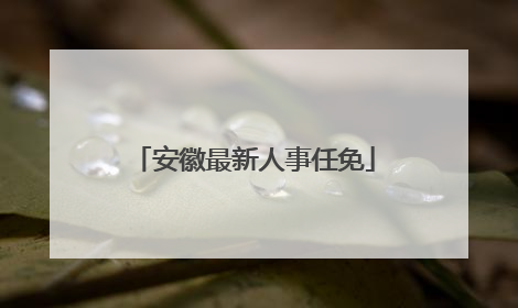 安徽最新人事任免