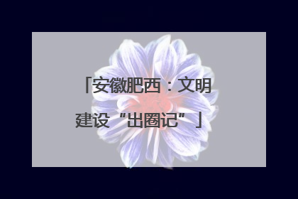 安徽肥西：文明建设“出圈记”