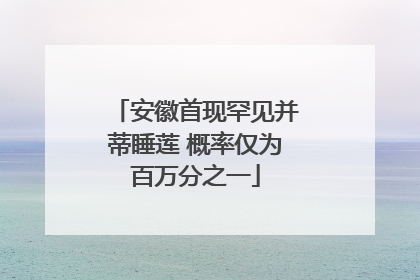 安徽首现罕见并蒂睡莲 概率仅为百万分之一