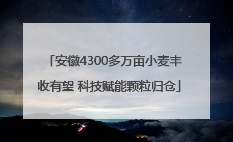 安徽4300多万亩小麦丰收有望 科技赋能颗粒归仓