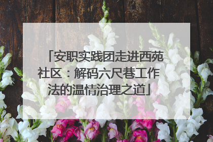 安职实践团走进西苑社区：解码六尺巷工作法的温情治理之道