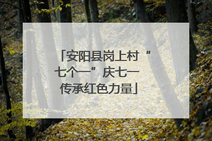 安阳县岗上村“七个一”庆七一 传承红色力量