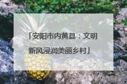 安阳市内黄县：文明新风浸润美丽乡村