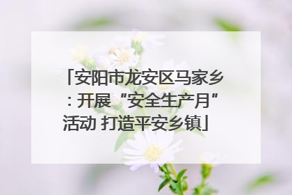 安阳市龙安区马家乡：开展“安全生产月”活动 打造平安乡镇