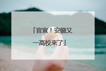 官宣！安徽又一高校来了