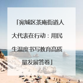 宛城区茶庵街道人大代表在行动：用民生温度书写教育高质量发展答卷