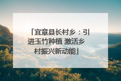 宜章县长村乡：引进玉竹种植 激活乡村振兴新动能