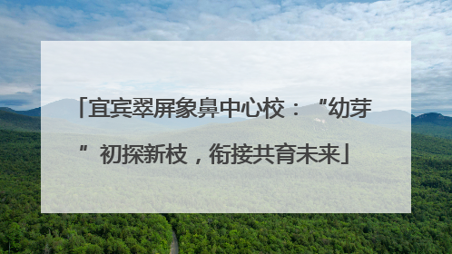 宜宾翠屏象鼻中心校：“幼芽”初探新枝，衔接共育未来