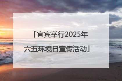 宜宾举行2025年六五环境日宣传活动
