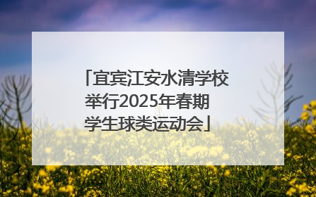 宜宾江安水清学校举行2025年春期学生球类运动会