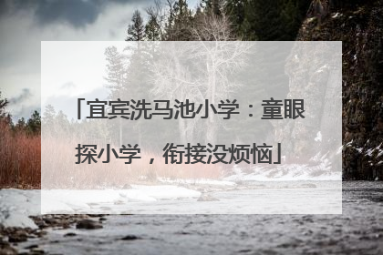宜宾洗马池小学：童眼探小学，衔接没烦恼