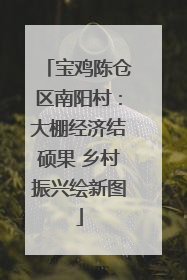 宝鸡陈仓区南阳村：大棚经济结硕果 乡村振兴绘新图