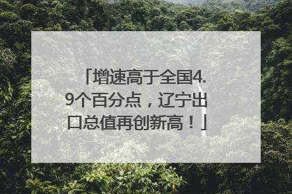 增速高于全国4.9个百分点，辽宁出口总值再创新高！