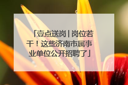 壹点送岗│岗位若干！这些济南市属事业单位公开招聘了