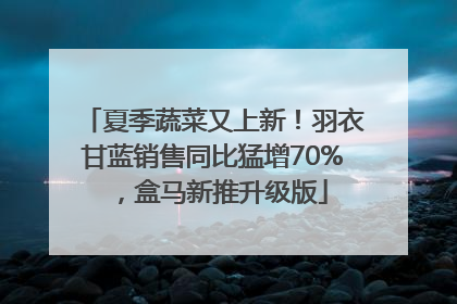夏季蔬菜又上新！羽衣甘蓝销售同比猛增70%，盒马新推升级版