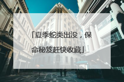 夏季蛇类出没，保命秘笈赶快收藏