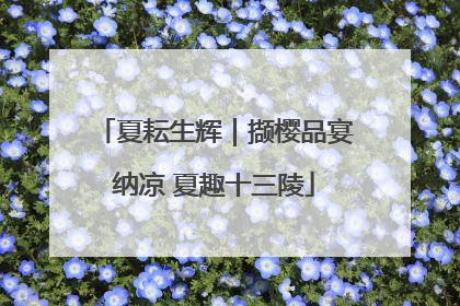 夏耘生辉｜撷樱品宴纳凉 夏趣十三陵