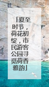 夏至时节，荷花初绽，市民游客公园寻觅荷香雅韵