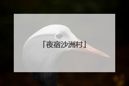 夜宿沙洲村