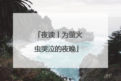 夜读丨为萤火虫哭泣的夜晚