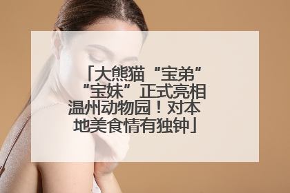 大熊猫“宝弟”“宝妹”正式亮相温州动物园！对本地美食情有独钟