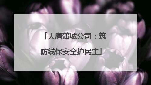 大唐蒲城公司：筑防线保安全护民生
