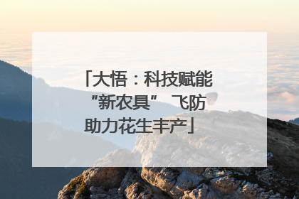 大悟：科技赋能“新农具” 飞防助力花生丰产