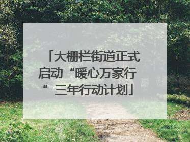 大栅栏街道正式启动“暖心万家行”三年行动计划