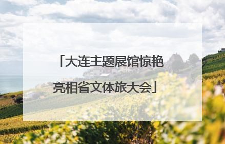 大连主题展馆惊艳亮相省文体旅大会