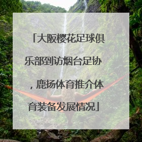 大阪樱花足球俱乐部到访烟台足协，鹿扬体育推介体育装备发展情况