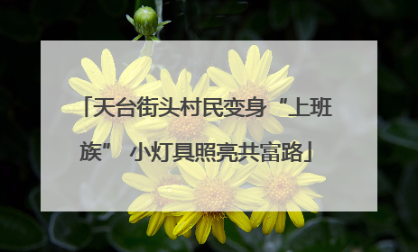 天台街头村民变身“上班族” 小灯具照亮共富路