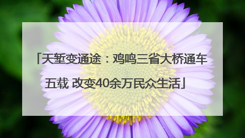天堑变通途：鸡鸣三省大桥通车五载 改变40余万民众生活