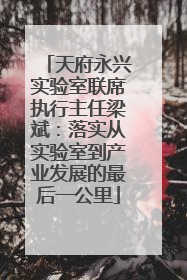 天府永兴实验室联席执行主任梁斌：落实从实验室到产业发展的最后一公里