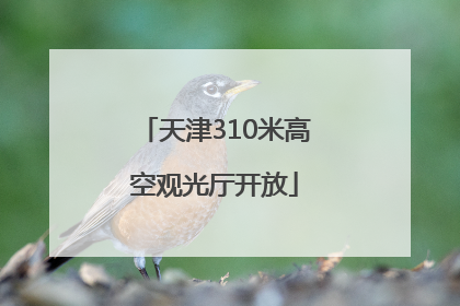 天津310米高空观光厅开放