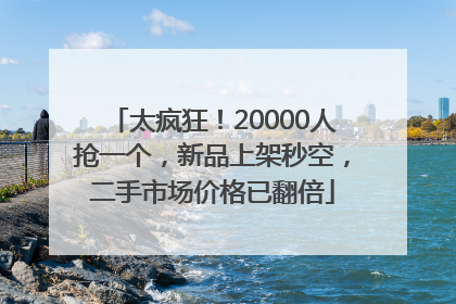太疯狂！20000人抢一个，新品上架秒空，二手市场价格已翻倍
