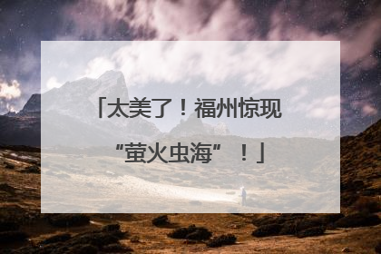 太美了！福州惊现“萤火虫海”！