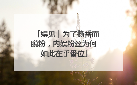 娱见｜为了撕番而脱粉，内娱粉丝为何如此在乎番位