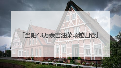 当阳43万余亩油菜颗粒归仓
