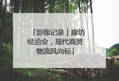 影像记录｜廊坊经洽会，现代商贸物流风向标