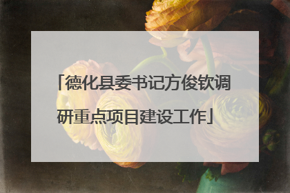 德化县委书记方俊钦调研重点项目建设工作