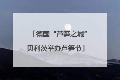 德国“芦笋之城”贝利茨举办芦笋节