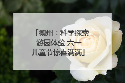 德州：科学探索 游园体验 六一儿童节惊喜满满